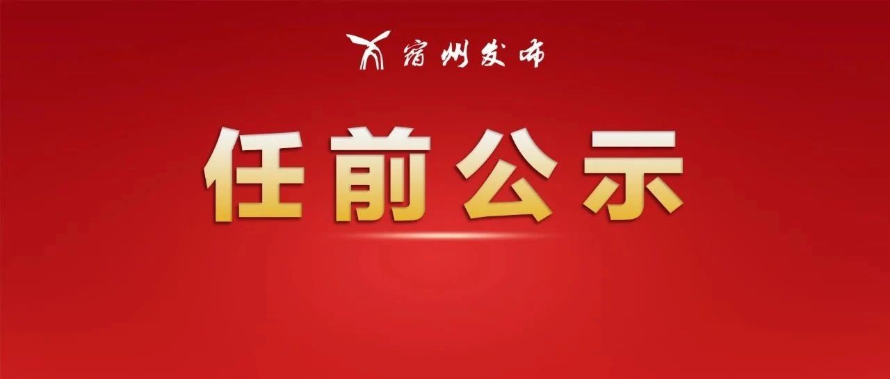 宿州市干部最新任免动态概览